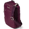 image:imageBaggallini Securtex Antitheft Mini Everything Crossbody Bag 63x825 Rfid Locking Zippers amp Cutresistant StrapMulberry