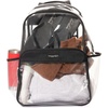 image:imageBaggallini Clear Backpack  Lightweight Large 115x 155x 6 Inch Clear BagGray