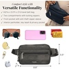 image:imageBaggallini Securtex AntiTheft Belt BagCharcoal