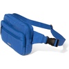 image:imageBaggallini Securtex AntiTheft Belt BagLapis